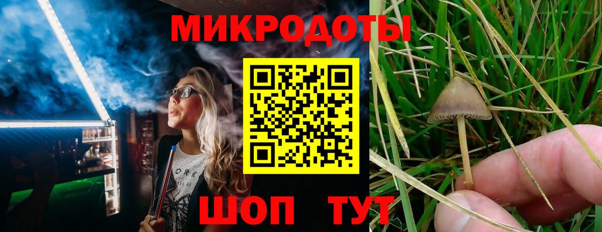 Галлюциногенные грибы мухоморы  Вход с VPN  Усть-Илимск  Галлюциногенные грибы мухоморы 